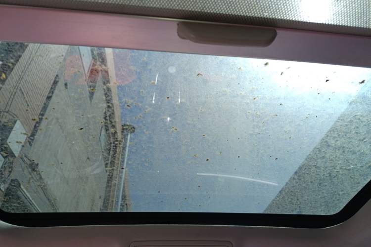 Used Volkswagen Lamando 2018 230TSI DSG Fashion Edition