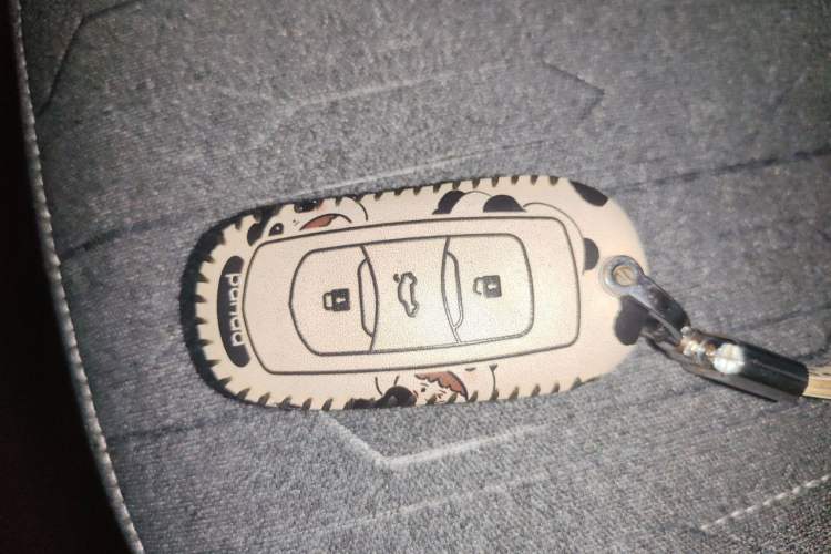 Used Geely Galaxy Panda 2023 Panda Mini 200km Endurance Bear
