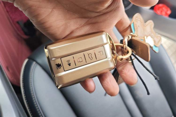 Used Tank 300 2021 City Edition 2.0T—Truly Stylish
