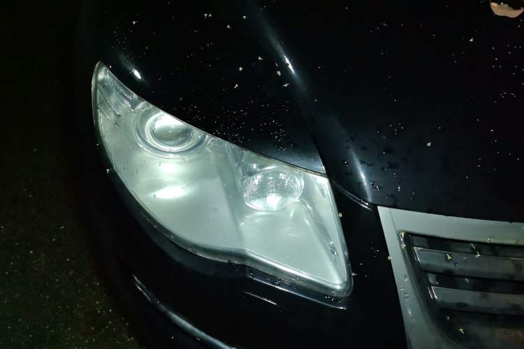 Used Volkswagen Touareg 2007 3.6L Luxury Model Right Front Headlight