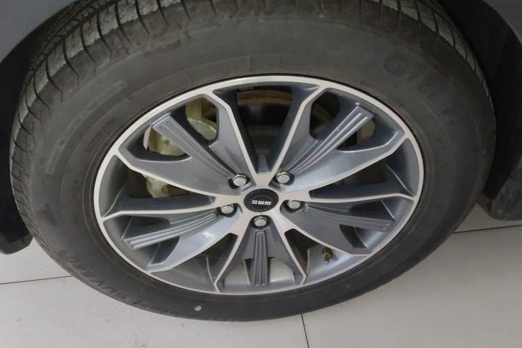 Used SWM G05 2021 PRO 1.5T Automatic Luxury Model 7 Seats
