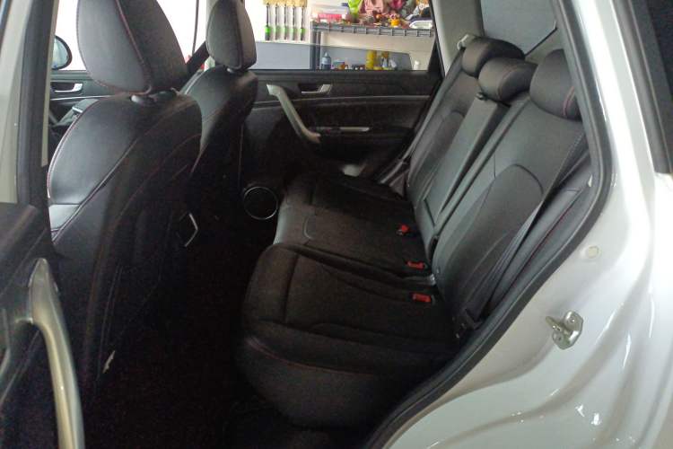 Used Haval H6 2017 Blue Label Sport Edition 1.5T Manual Two-Wheel Drive Elite Model Left Rear Seat