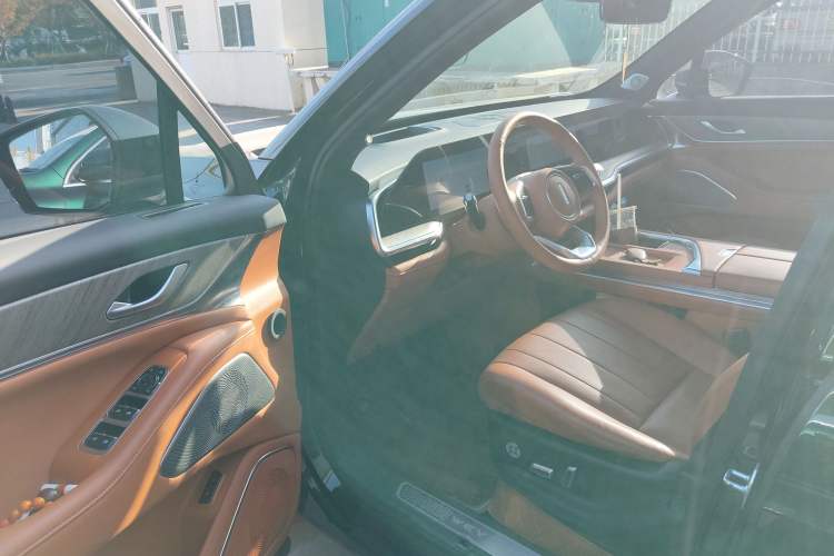 Used Wey Lanshan 2023 Two-Wheel Drive Long-Range Version
