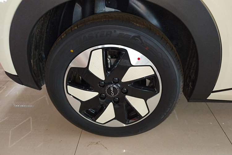 Used BYD Dolphin 2025 420km Free Edition Right Rear Wheel Hub