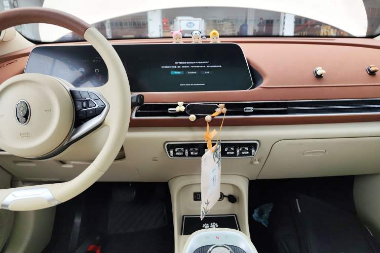 Used ORA Good Cat 2022 Morandi Edition 400km Standard Range Premium Version Lithium Iron Phosphate Audio And AC Panel