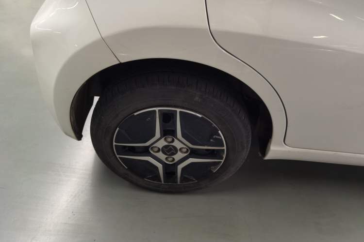 Used SOL E10X 2022 Flower Fairy Design Four-Leaf Clover
