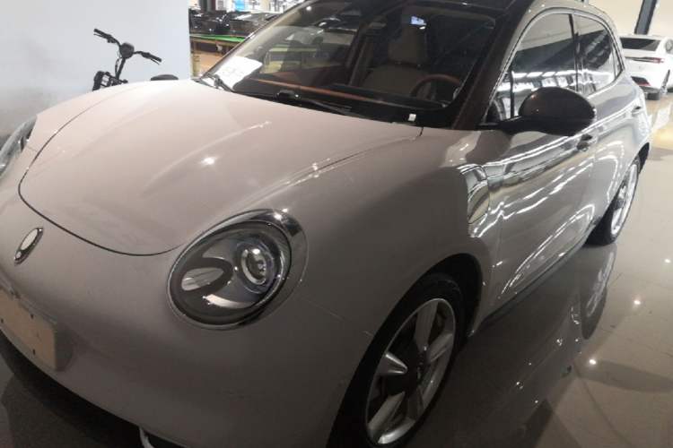 Used ORA Good Cat 2021 400km Standard Range Venus Edition Lithium-Ion Battery