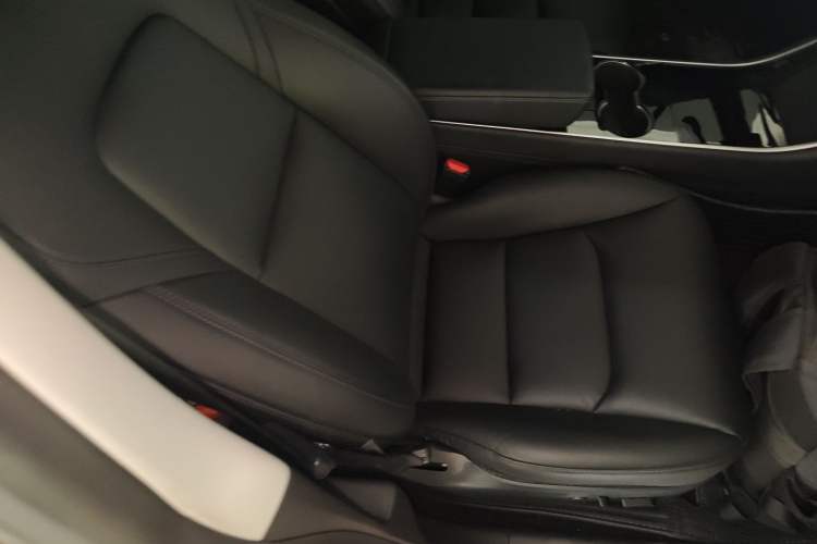 Used Tesla Model 3 2019 Standard Range Rear-Drive Upgraded Version Right Front Seat