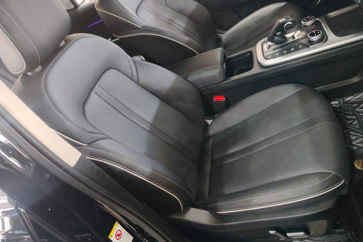 Used Tank 300 2024 2.0T Conqueror
