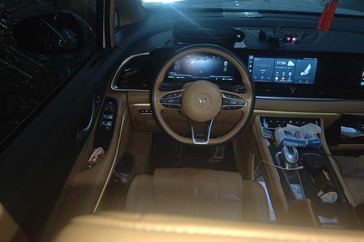 Used VOYAH Dream 2022 Low-Carbon Edition Home