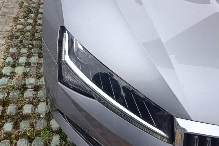 Used Skoda Superb 2019 TSI280 DSG Comfort Edition