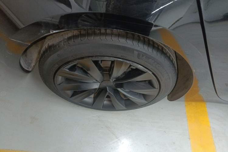 Used Tesla Model 3 2022 Rear-Wheel-Drive Version Exterior 5