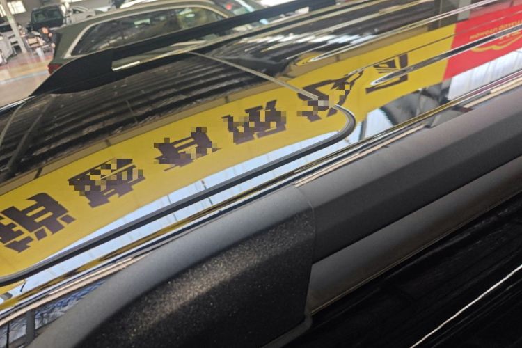 Used Tank 300 New Energy 2025 Hi4-T Roof