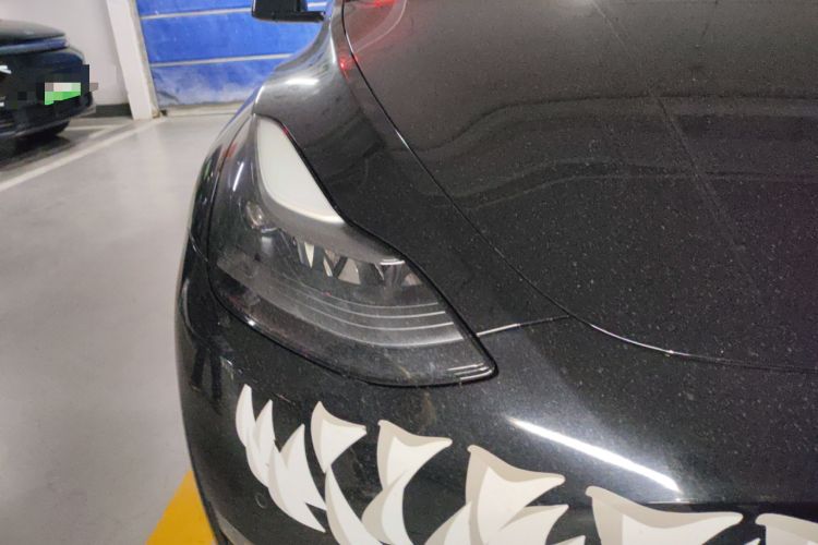 Used Tesla Model Y 2021 Performance High-Performance All-Wheel-Drive Version