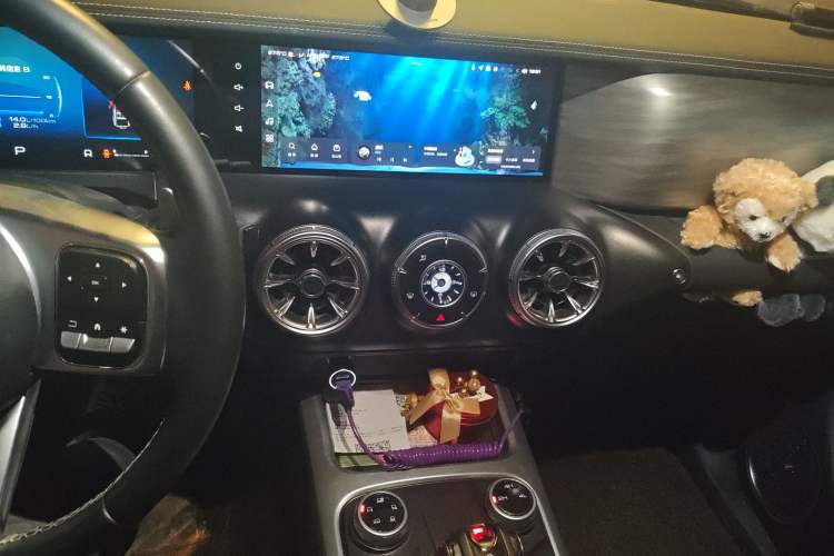 Used Tank 300 2021 2.0T Wind & Forest Iron Rider
