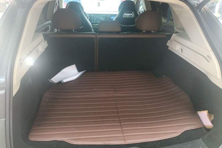 Used Leapmotor C11 2023 Pure Electric 500 Smart Edition
