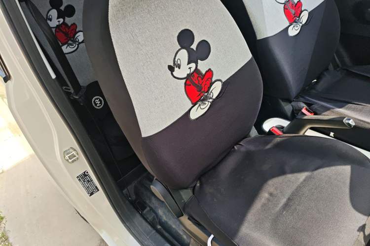 Used Wuling Hongguang MINIEV 2024 3rd Generation 215km Youth Edition Right Front Seat