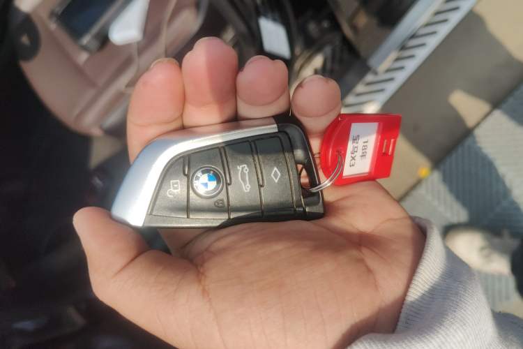 Used BMW X3 2018 xDrive25i Luxury Package China V