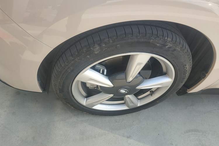 Used ORA Good Cat 2023 401 km Standard Range Luxury Version Lithium Iron Phosphate