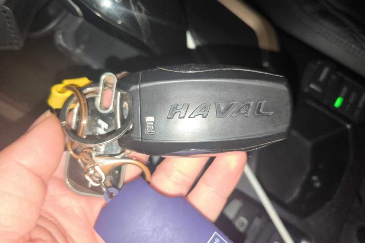 Used Haval H6 2021 1.5T Automatic Champion Edition
