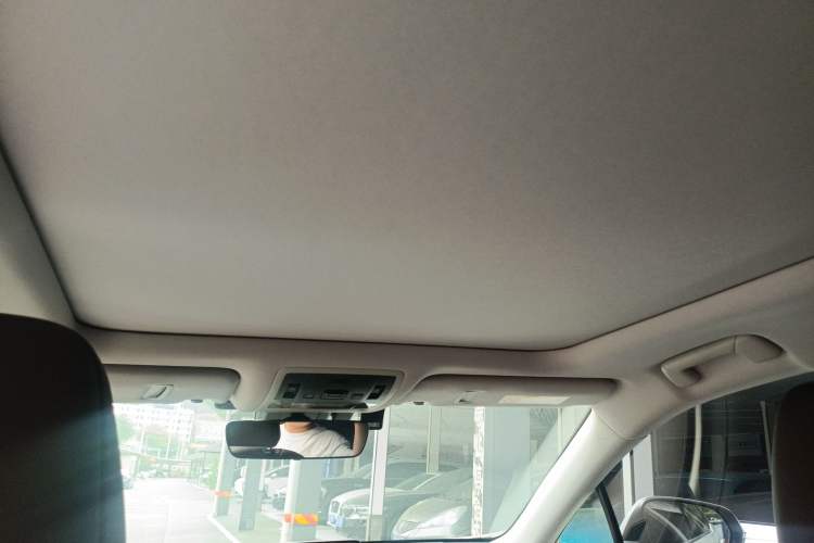 Used Lexus RX 2021 300 Four-Wheel Drive Special Edition Headliner