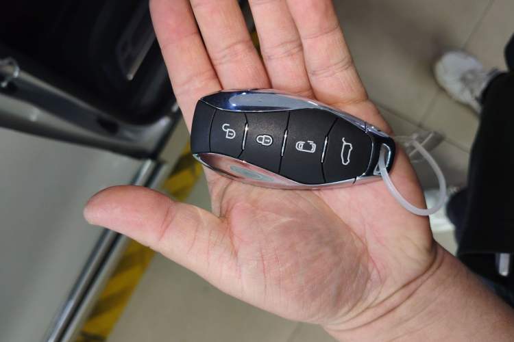 Used Hongqi HQ9 2023 2.0T Smart Connect Flagship Edition