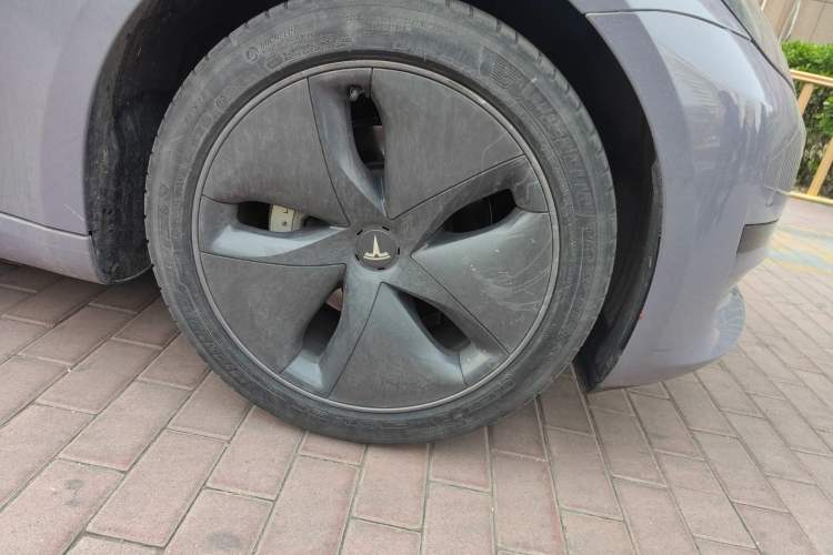 Used Tesla Model 3 2019 Standard Range Rear-Drive Upgraded Version