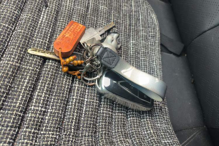 Used CHANGAN CS55PLUS 2020 1.5T Automatic Colorful Model