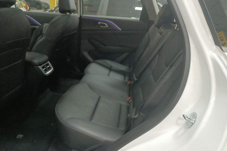 Used Haval Fierce Dragon Max 2023 1.5L Hi4 105 Four-Wheel Drive Smart Flagship Edition Left Rear Seat