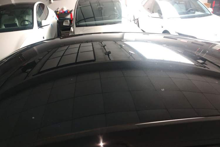 Used Tesla Model Y 2021 Standard Range Rear-Wheel Drive Version Roof