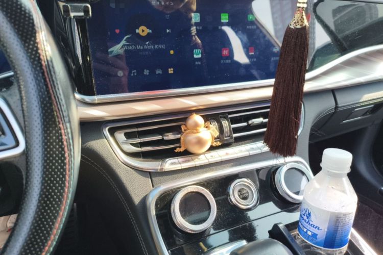 Used Hongqi H9 2020 2.0T Smart Connect Flagship Edition
