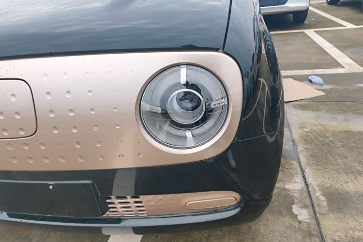 Used ORA Black Cat 2021 301km Cute Pet Edition Left Front Headlight