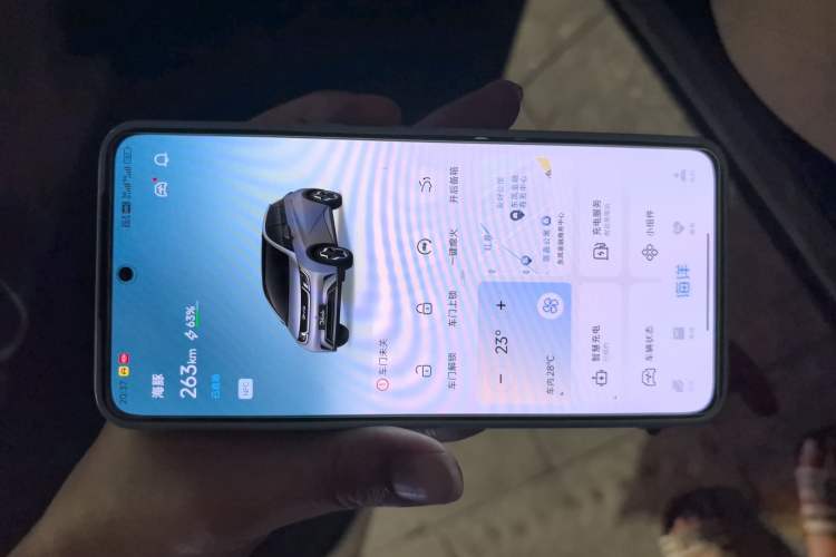 Used BYD Dolphin 2024 Honor Edition 420km Fashion Version
