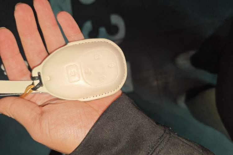 Used GAC Trumpchi E8 New Energy 2025 150km PRO+ Vehicle Key