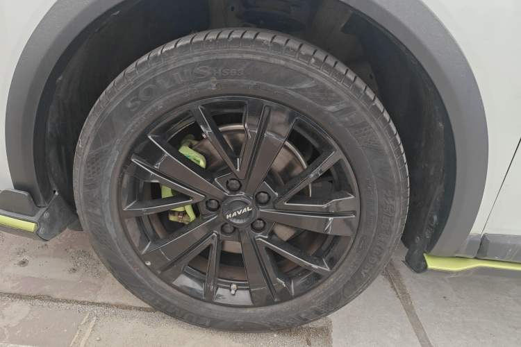 Used Haval LHERY 2021 High-Performance Version 1.5T Golden Rabbit