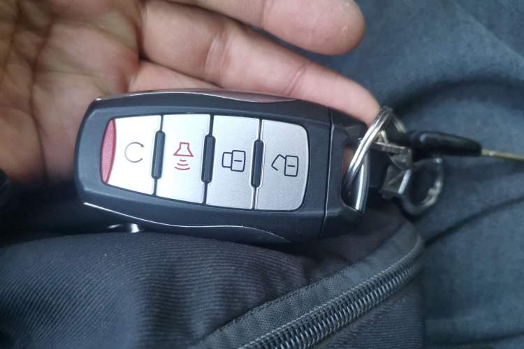 Used Great Wall Poer 2019 2.0T Automatic Gasoline Two-Wheel Drive Comfort Edition GW4C20B
