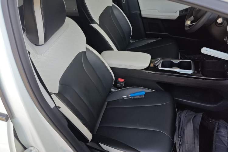 Used Geometry E Firefly 2024 401km Starlight Right Front Seat