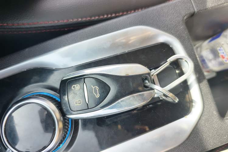 Used Dayun Yuehu 2021 32.85 kWh Two-Wheel-Drive Sprite Version
