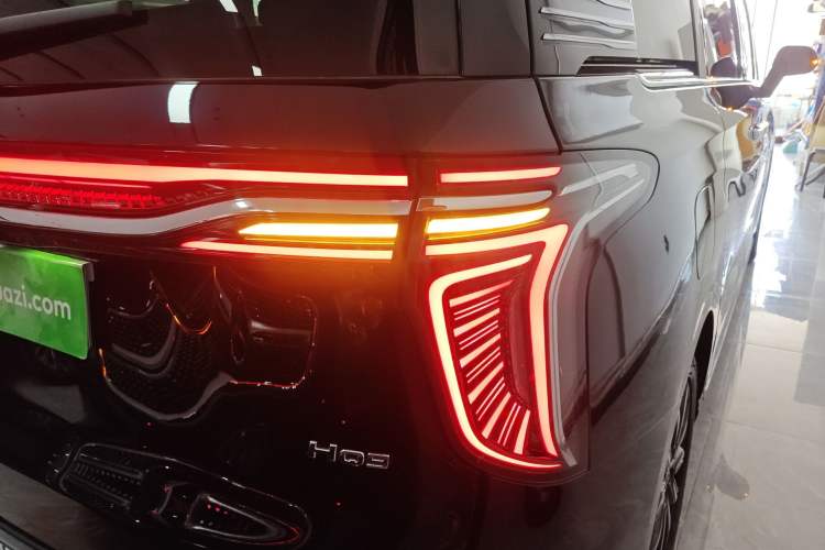 Used Hongqi HQ9 2023 2.0T Smart Connect Flagship Edition Exterior 3