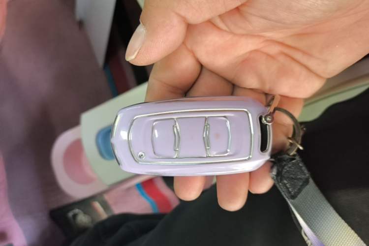 Used Geely Galaxy Panda 2024 Panda Mini 200km Endurance Bear Interior 1