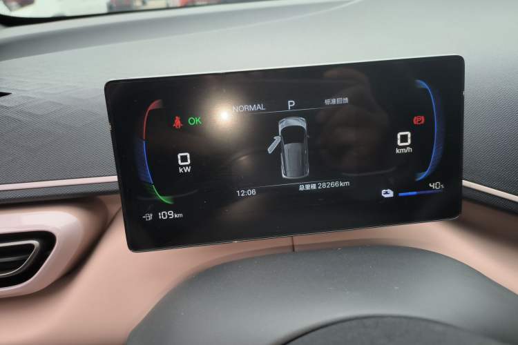 Used BYD Seagull 2025 305 km Free Version