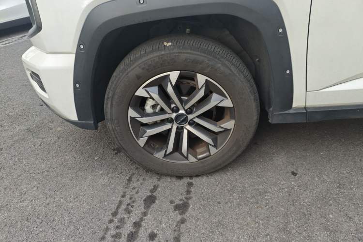 Used Haval H Dog 2023 2.0T Two-Wheel Drive Chaoye Version Plus

