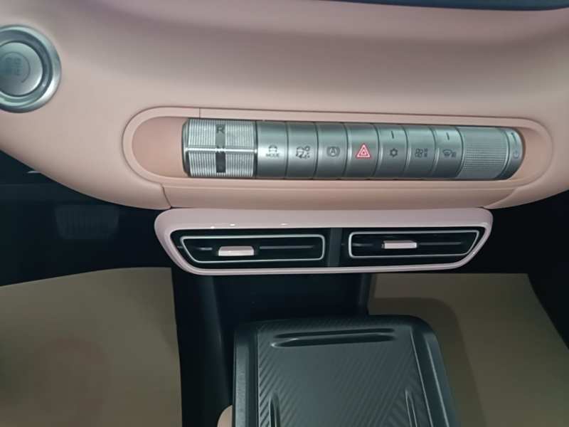 Used BYD Seagull 2025 305 km Free Version — 13