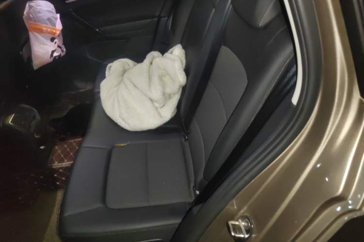 Used Volkswagen Golf Sportsvan 2018 230TSI Automatic Trend Edition Left Rear Seat