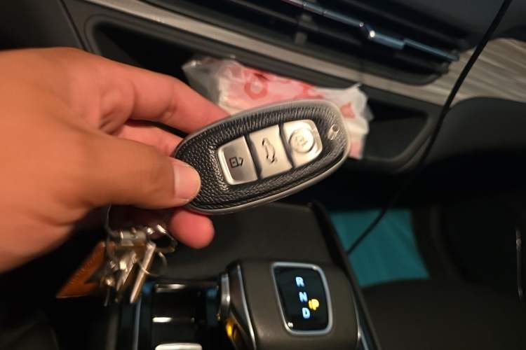 Used Hongqi E-QM5 2023 620km PLUS
