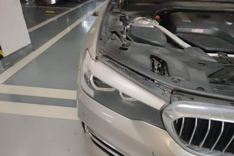 Used BMW 5 Series 2018 Revised Version 530Li Leading Edition Luxury Package
