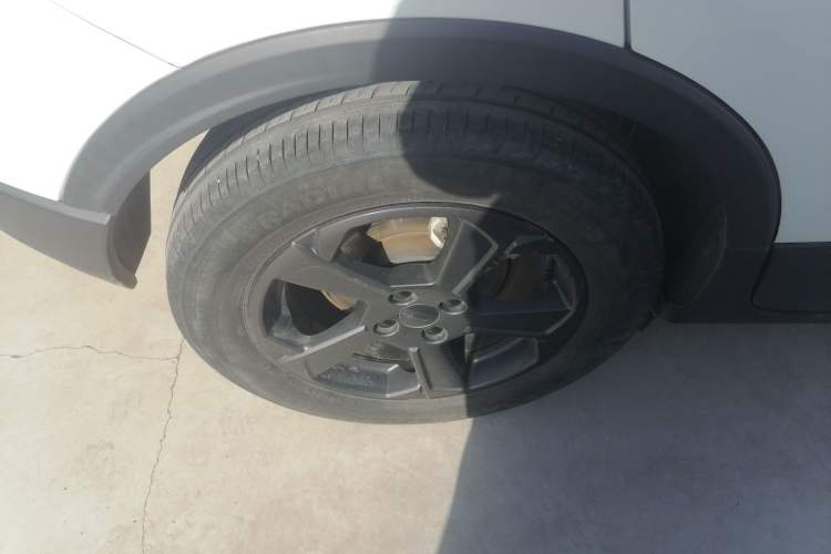 Used Geometry E Firefly 2022 320KM Cute Tiger 4-Seater