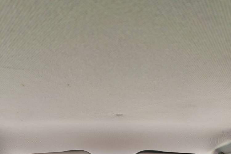 Used Baojun 310 2020 1.2L Manual Comfort Edition Headliner