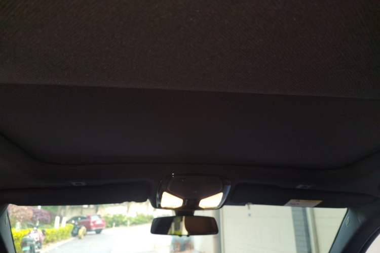 Used BMW 5 Series 2020 530Li Luxury Edition M Sport Package Headliner