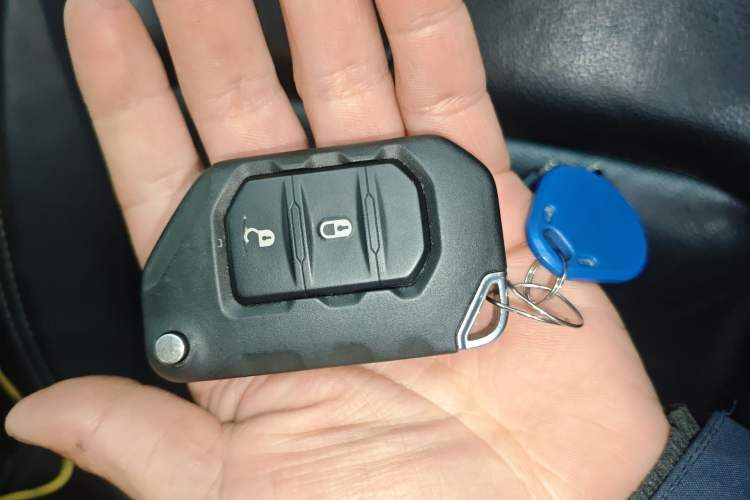 Used Jeep Wrangler 2019 2.0T Sahara 4-Door Version China V Standard